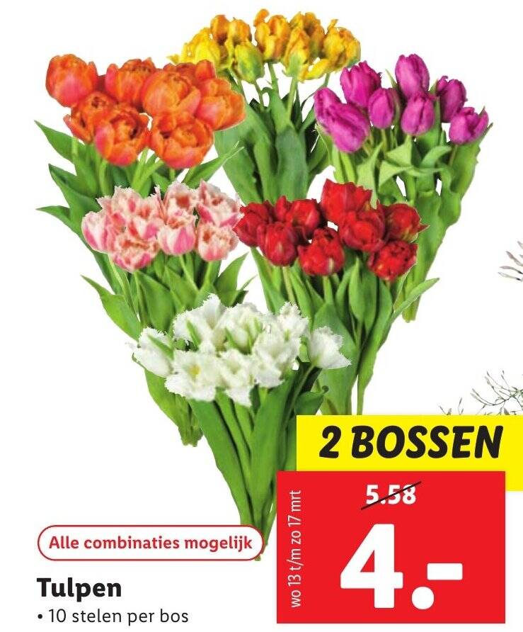 Tulpen aanbieding bij Lidl