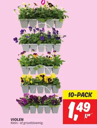 Dekamarkt VIOLEN 10-pack aanbieding