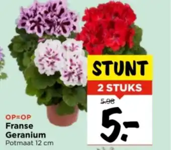 Vomar Voordeelmarkt Franse geranium potmaat 12 cm aanbieding