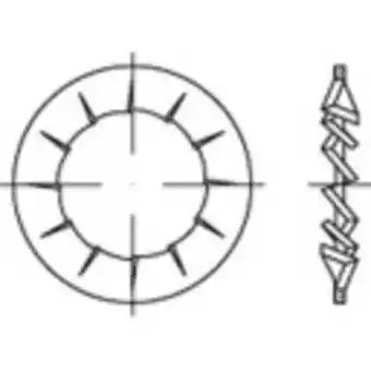 Conrad TOOLCRAFT 138481 Lamellenschijven Binnendiameter: 19 mm DIN 6798 Verenstaal Galvanisch verzinkt 100 stuk(s) aanbieding