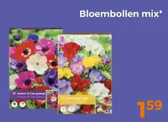 Trekpleister Bloembollen mix aanbieding