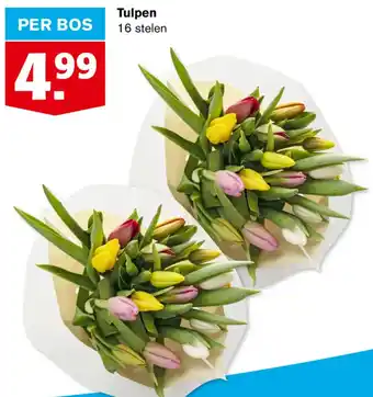 Hoogvliet Tulpen aanbieding