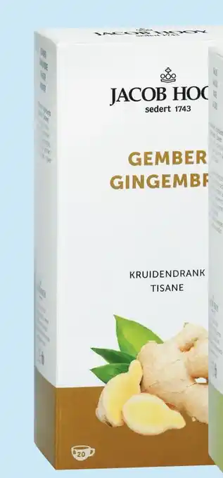 Holland & Barrett Gember thee aanbieding