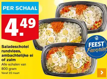 Hoogvliet Saladeschotel rundvlees, ambachtelijke ei of zalm 800g aanbieding