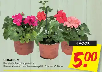 Dekamarkt Geranium aanbieding