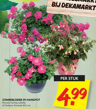 Dekamarkt Zomerbloeier in hangpot aanbieding