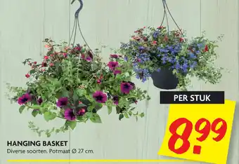 Dekamarkt Hanging Basket aanbieding