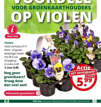 GroenRijk Violen aanbieding