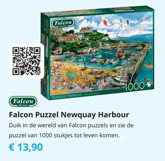 Tom Falcon Puzzel Newquay Harbour aanbieding