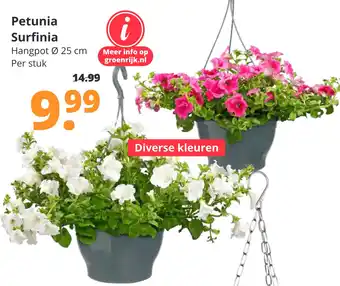 GroenRijk Petunia surfinia aanbieding