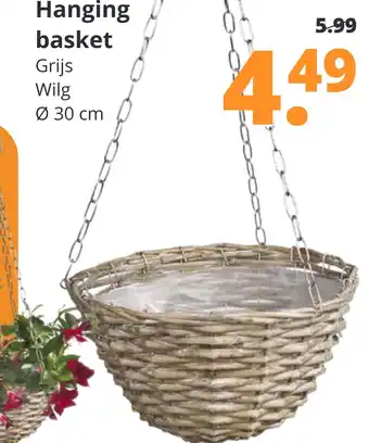 GroenRijk Hanging basket aanbieding