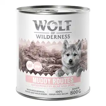 Zooplus Wolf of Wilderness Junior “Expedition” 6 x 800 g - Muddy Routes - Gevogelte met varken aanbieding