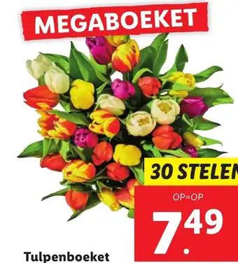 Lidl Tulpenboeket 30 stelen aanbieding