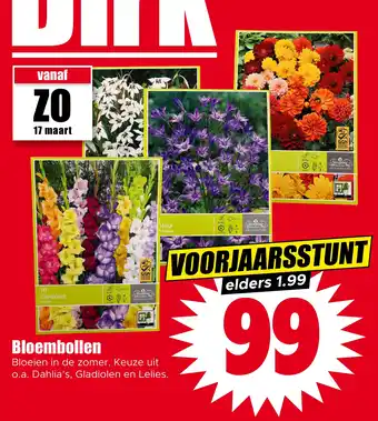 Dirk Bloembollen aanbieding