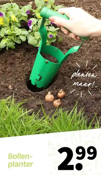 Wibra Bollenplanter aanbieding