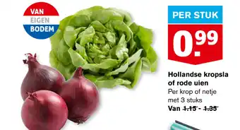 Hoogvliet Hollandse kropsla of rode uien aanbieding