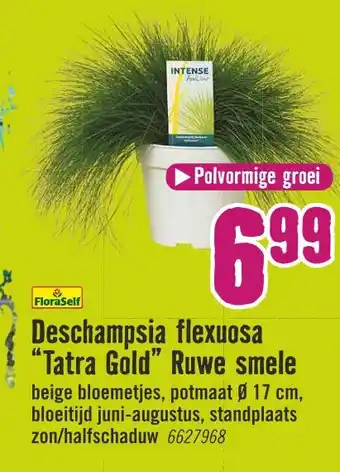 Hornbach Deschampsia flexuosa aanbieding