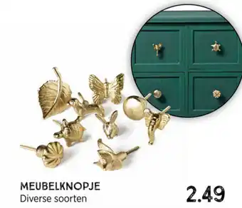 Xenos Meubelknopje aanbieding