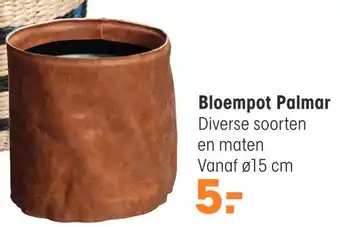 Kwantum Bloempot Palmar aanbieding