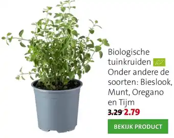 Intratuin Biologische tuinkruiden aanbieding