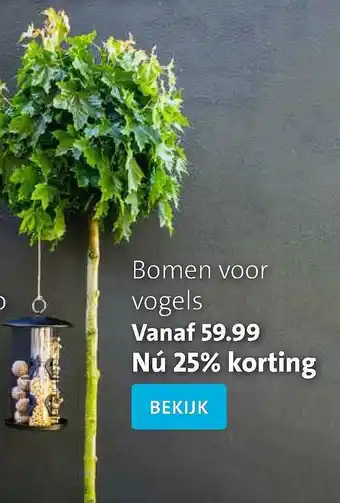 Intratuin Bomen Voor Vogels 25% Korting aanbieding