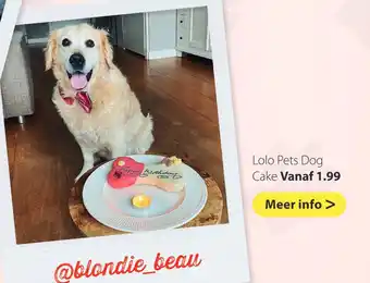 Boerenbond Lolo pets dog cake aanbieding