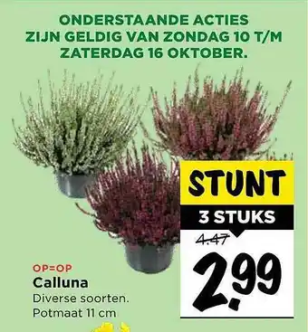 Vomar Voordeelmarkt Calluna aanbieding