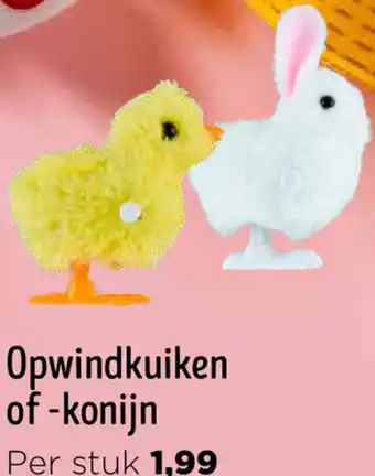 Jumbo Opwindkuiken of konijn aanbieding