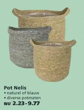 Ranzijn Pot Nelis Naturel Of Blauw aanbieding