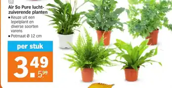 Albert Heijn Air So Pure luchtzuiverende planten aanbieding