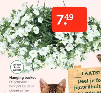 Boerenbond Hanging basket aanbieding