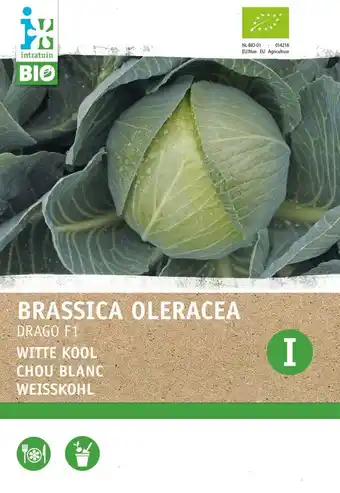 Intratuin Intratuin bioloschie groentezaad Witte kool (Brassica oleracea 'Drago F1') aanbieding