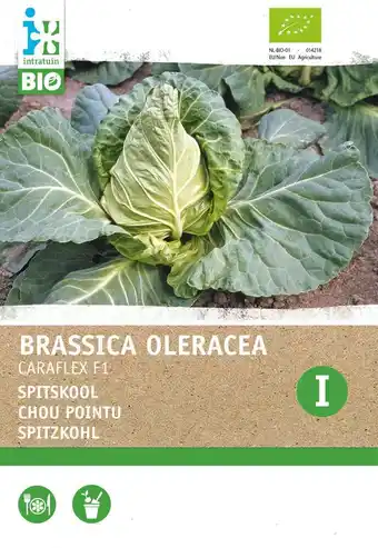 Intratuin Intratuin biologische groentezaad spitskool (Brassica oleracea 'Caraflex f1') aanbieding