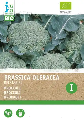 Intratuin Intratuin biologische groentezaad Broccoli (Brassica oleracea 'Belstar F1') aanbieding