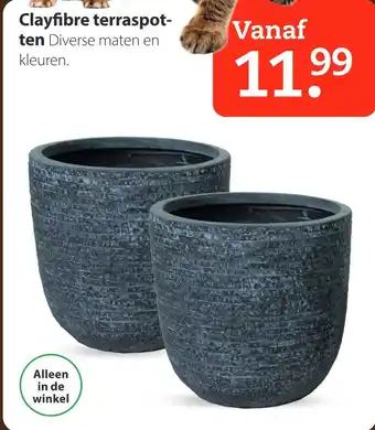 Boerenbond Clayfibre terraspotten aanbieding