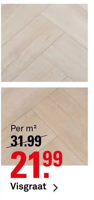 Karwei Visgraat aanbieding