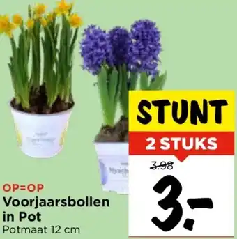 Vomar Voordeelmarkt Voorjaarsbollen in Pot aanbieding