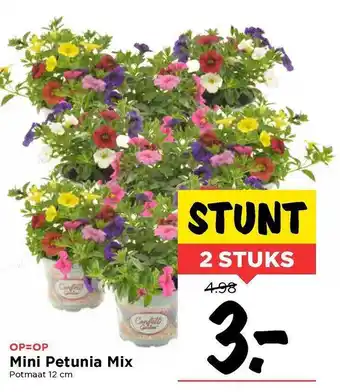 Vomar Voordeelmarkt Mini Petunia Mix 12cm aanbieding