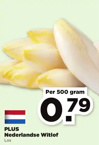 PLUS Nederlandse Witlof 500g aanbieding