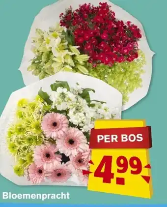 Hoogvliet Bloemenpracht aanbieding