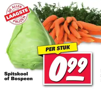 Nettorama Spitskool of bospeen aanbieding