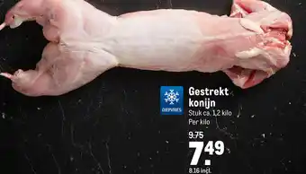 Makro Gestrekt konijn aanbieding