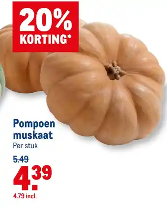 Makro Pompoen muskaat aanbieding