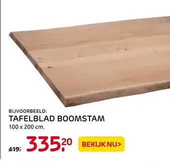 Praxis Tafelblad boomstam 100x200 cm aanbieding