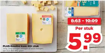 PLUS PLUS Goudse kaas 48+ stuk aanbieding