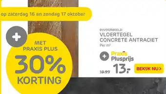 Praxis BUVOORBEELD: VLOERTEGEL CONCRETE ANTRACIET aanbieding