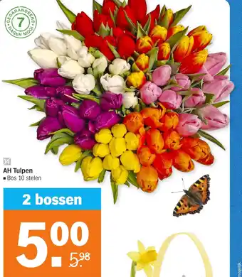 Albert Heijn Tulpen aanbieding