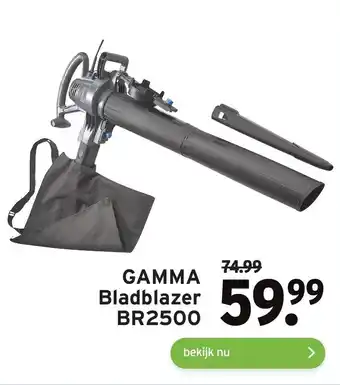 GAMMA Bladblazer BR2500 aanbieding