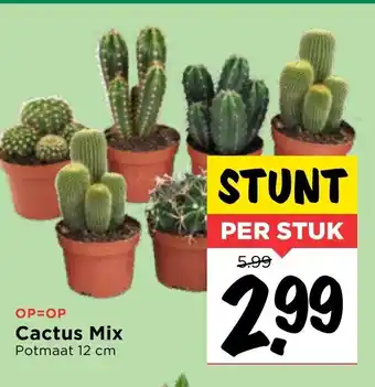 Vomar Voordeelmarkt Cactus mix aanbieding