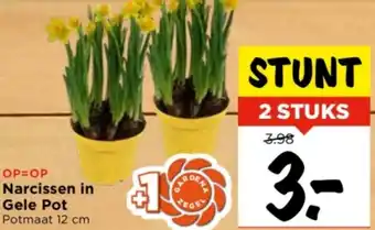 Vomar Voordeelmarkt Narcissen in Gele Pot aanbieding